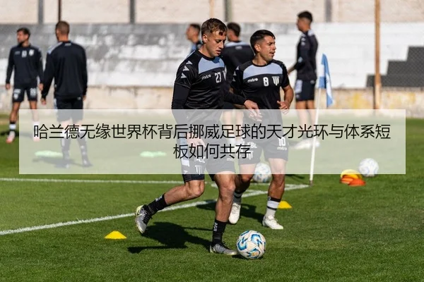 哈兰德无缘世界杯背后挪威足球的天才光环与体系短板如何共存